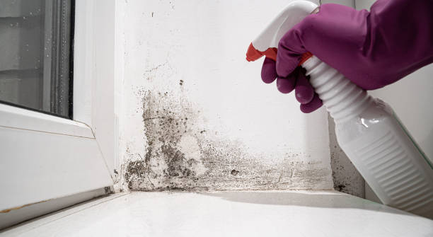 Best Water damage contractors near me  in Hanscom Af, MA