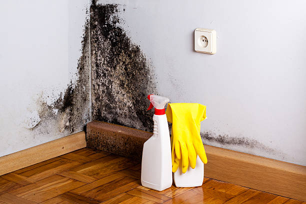 Best Water damage restoration near me  in Hanscom Af, MA